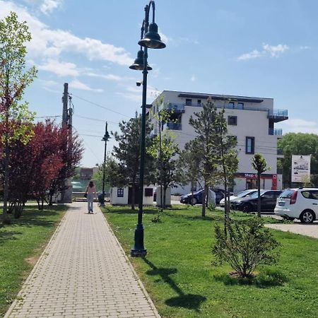 Amazing Apartament With Garden Bucharest Airport Self Check-In!! Otopeni Exteriör bild