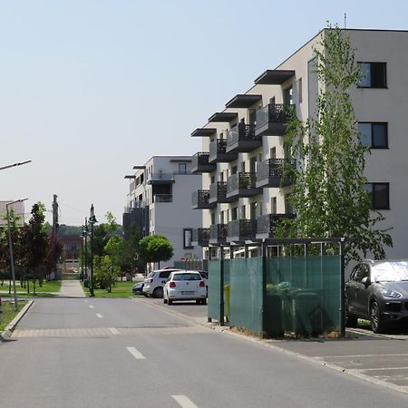 Amazing Apartament With Garden Bucharest Airport Self Check-In!! Otopeni Exteriör bild