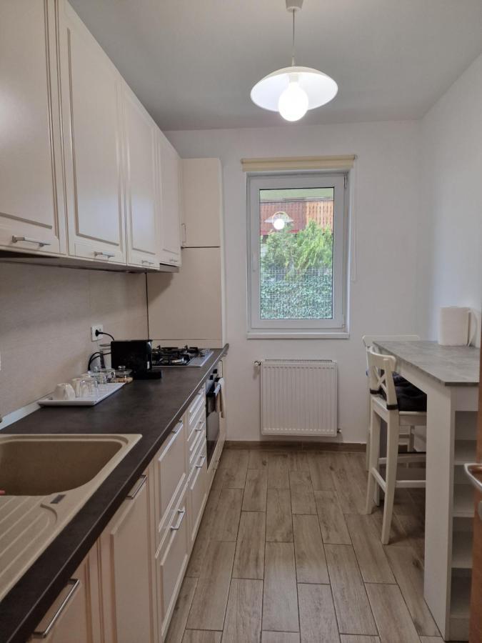 Amazing Apartament With Garden Bucharest Airport Self Check-In!! Otopeni Exteriör bild