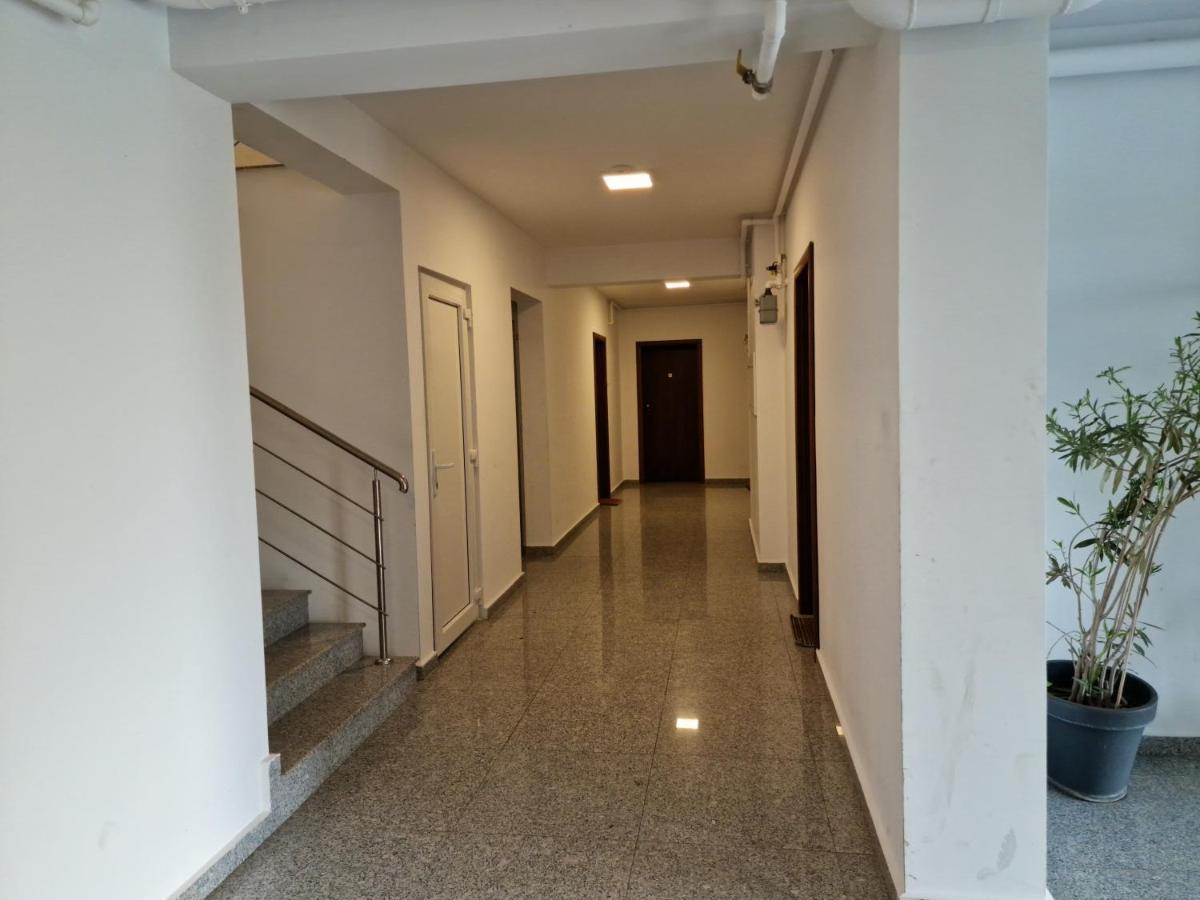 Amazing Apartament With Garden Bucharest Airport Self Check-In!! Otopeni Exteriör bild